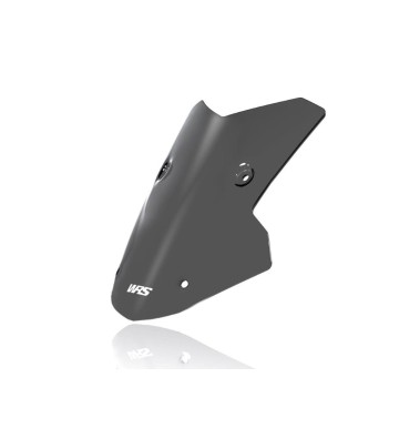WRS Vidro SPORT para BMW M1000 XR 23-