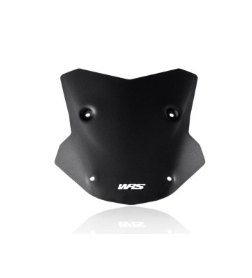 WRS Vidro SPORT para BMW M1000 XR 23-24