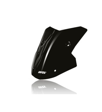 WRS Vidro SPORT para BMW M1000 XR 23-