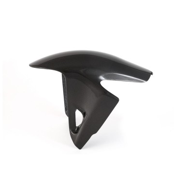 FULLSIX Front Mudguard for DUCATI Streetfighter V4 25-