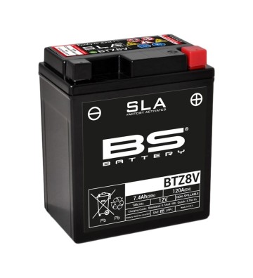 BS BATTERY BTZ8V