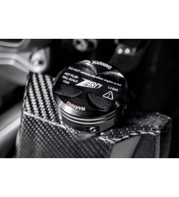 ZARD Proteção de Radiador e Tampa de Óleo de Motor para HARLEY-DAVIDSON Nightster 975 21-24