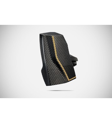 ZARD Proteção de Radiador e Tampa de Óleo de Motor Versão 120TH para HARLEY-DAVIDSON Nightster 975 21-24