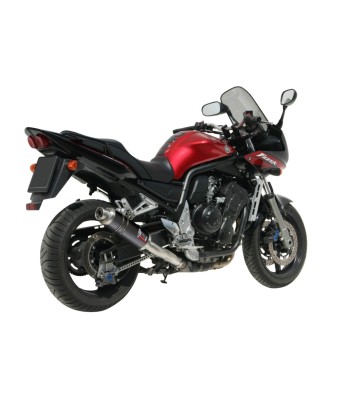 MIVV GP Silencer for YAMAHA FAZER 1000 01-05