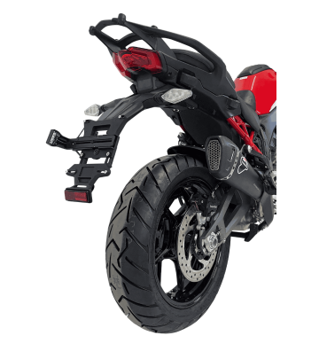 TERMIGNONI Silencer for MULTISTRADA V4 25-