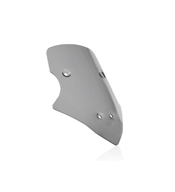 WRS CAPONORD Windscreen for MULTISTRADA V4 / S / SPORT / RALLY 20- / V4 PIKES PEAK 22-
