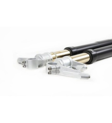 OHLINS Suspensão Frontal FGRT para PANIGALE 899 14–15 / 959 16–19 / V2 20–23 / V4 18–23