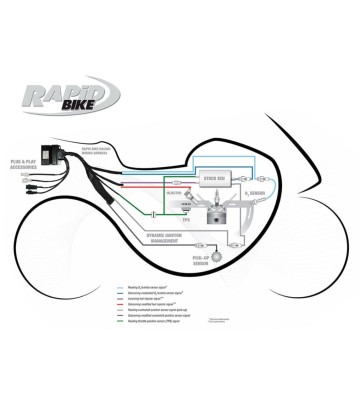 RAPID BIKE Kit Centralina RACING para TRIUMPH STREET TRIPLE 765 RS 17-19