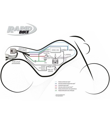 RAPID BIKE Kit Centralina EVO para TRIUMPH STREET TRIPLE 765 RS 17-19