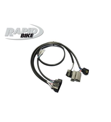 RAPID BIKE Kit Centralina EVO para TRIUMPH STREET TRIPLE 765 RS 17-19