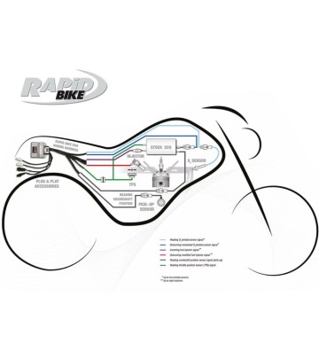 RAPID BIKE Kit Centralina EVO para TRIUMPH STREET TRIPLE 765 R / S / RS 20-23