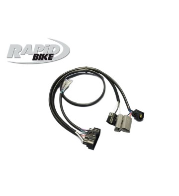 RAPID BIKE Kit Centralina EVO para TRIUMPH STREET TRIPLE 765 R / S / RS 20-23