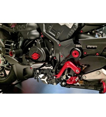 CNC RACING Engine Generator Crankcase Protector for DUCATI DIAVEL V4 23-25