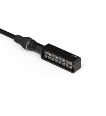 RIZOMA Kit de Piscas LAYER