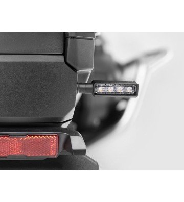 RIZOMA Kit de Piscas LAYER 3