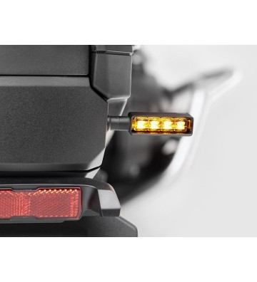 RIZOMA Kit de Piscas LAYER 3