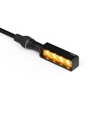 RIZOMA Kit de Piscas LAYER 3