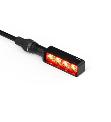 RIZOMA Kit de Piscas LAYER 3