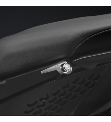 RIZOMA Luzes Traseiras e Intermitentes para DUCATI DIAVEL V4 23-25