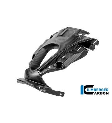 ILMBERGER Air Intake Carbon Matte for BMW M1000 RR 25-