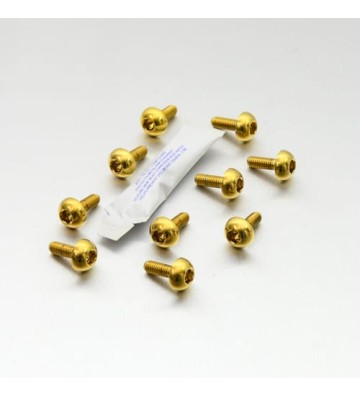 PRO-BOLT Discs Bolt Kit M6x1.00x17mm