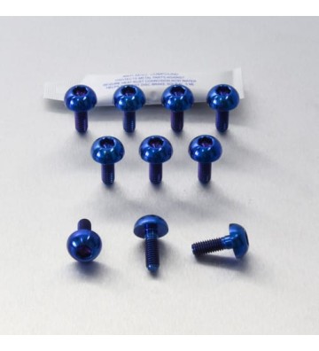 PRO-BOLT Kit parafusos de discos M6x1.00x17mm