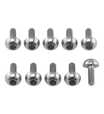 PRO-BOLT Discs Bolt Kit M6x1.00x17mm