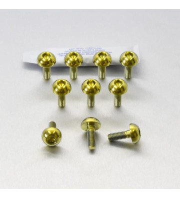 PRO-BOLT Kit parafusos de discos M6x1.00x17mm