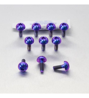 PRO-BOLT Kit parafusos de discos M6x1.00x17mm