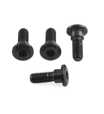 PRO-BOLT Disc Bolt Kit M8x1.25x24mm