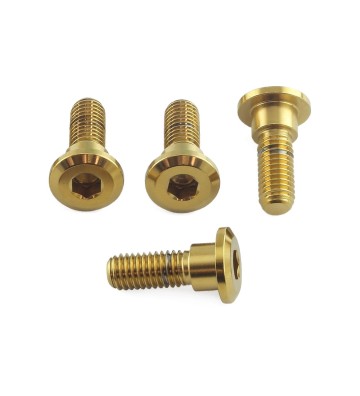PRO-BOLT Disc Bolt Kit M8x1.25x24mm