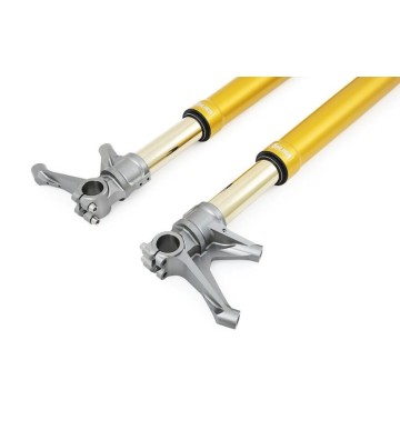OHLINS FGR200 Front Fork for DUCATI PANIGALE V4 19-25 / V4S 2024 / V4R 20-25 MULTISTRADA V2/S 2024 / SUPERSPORT 950 2024