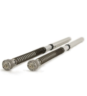 OHLINS Cartuchos de Suspensão NIX30 para DUCATI