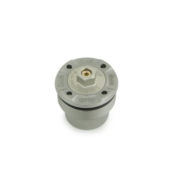 OHLINS NIX30 Fork Cartridges for DUCATI