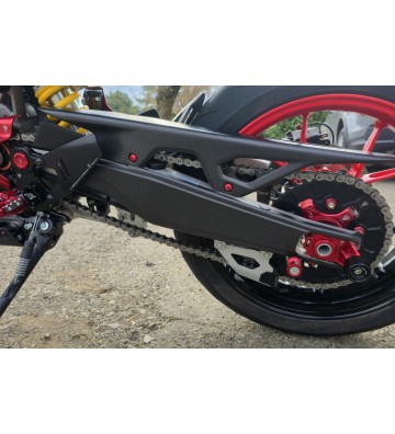 CNC RACING Proteção de Braço Oscilante para DUCATI HYPERMOTARD 698 24-25