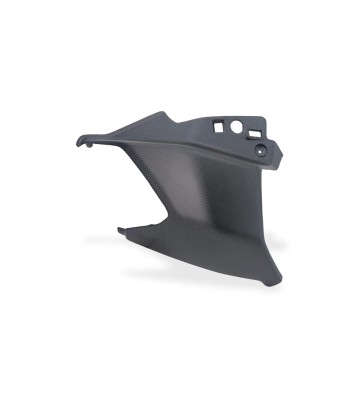 CNC RACING Carbon Lower Winglets for DUCATI MULTISTRADA V2/S 25-26