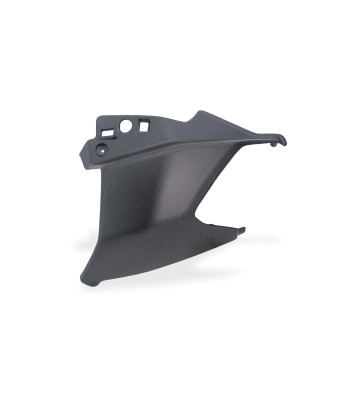 CNC RACING Carbon Lower Winglets for DUCATI MULTISTRADA V2/S 25-26
