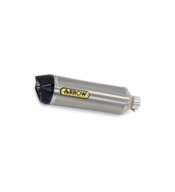 ARROW RACE-TECH Silencer for RSV4 RR/ RF 17-