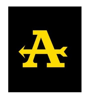 ARROW PRO-RACE Silencer for KTM 990 RC R 2026