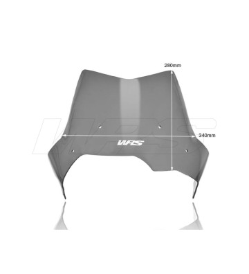 WRS SPORT Windscreen for BMW F650 GS / F800 GS 08-17