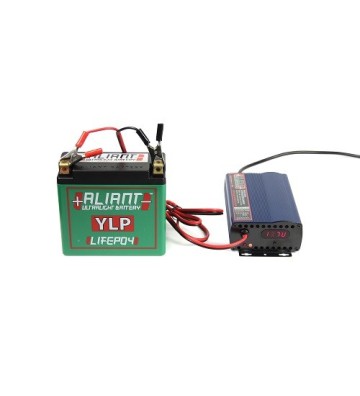 ALIANT LIFEPO4 Lithium battery charger