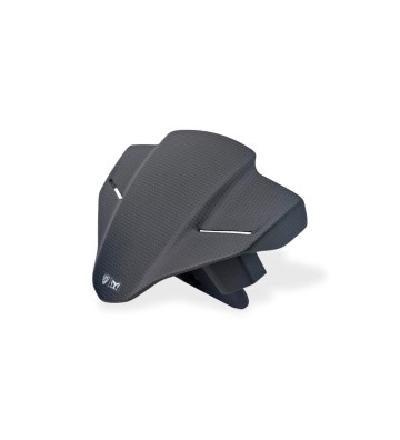 CNC RACING Frontal em Carbono para DUCATI Streetfighter V4/S 25-26