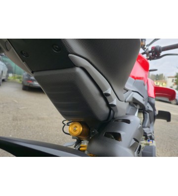 CNC RACING Proteção do Fundo de Depósito de Combustível em Carbono para DUCATI Panigale V4/S 25-26 / Streetfighter V4/S 25-26