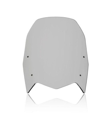 UNIT GARAGE Windshield STANDARD for YAMAHA Ténéré 700 19-25