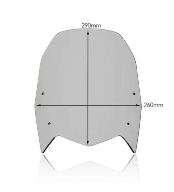 UNIT GARAGE Windshield STANDARD for YAMAHA Ténéré 700 19-25