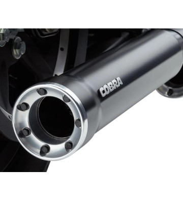 COBRA Slip-ons with Race-Pro Tips for HARLEY DAVIDSON XL 883 C/L/R/N