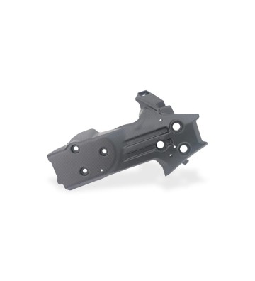 CNC RACING Proteção de Bomba de Óleo em Carbono para DUCATI Streetfighter V4/S 25-26