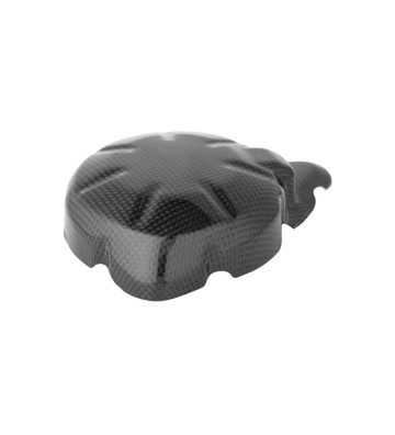 LIGHTECH Proteção de Eletrónica em Carbono para KAWASAKI Z900 17-26