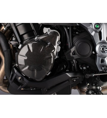 LIGHTECH Carbon Electric Cover for KAWASAKI Z900 17-26