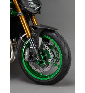 LIGHTECH Carbon Front Mudguard for KAWASAKI Z900 17-26